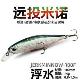 路亚硬饵悬浮假饵米诺远投路亚翘嘴野钓假饵黑鱼海钓仿真饵鱼饵