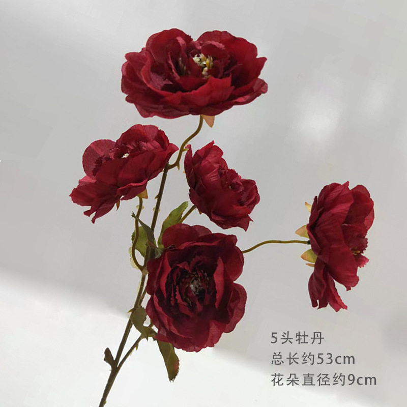 붉은 다섯머리 모란