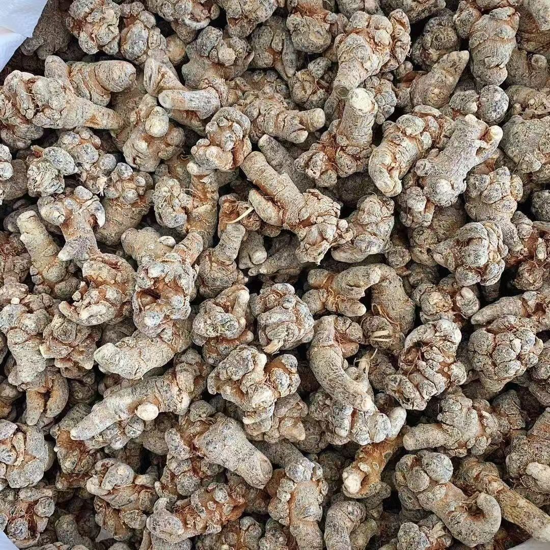 Wenshan Sanqi Ultra-Fine Notoginseng Powder San Qi Tian Qi 500g for Internal and External Use quality and texture