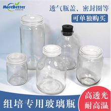 廠家供應350ml玻璃組培瓶蘭花培菌瓶大口組培瓶高白料玻璃菌瓶
