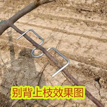 ��������֦���_���������O���䉺֦��֦�e֦���_֦��������֦��