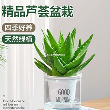 �J�C�����҃ȳ���ȩ�����՚�ֲ���k���������ƶ����ļ����B����