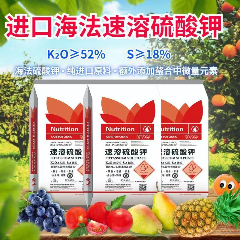 微信图片_20230611170204