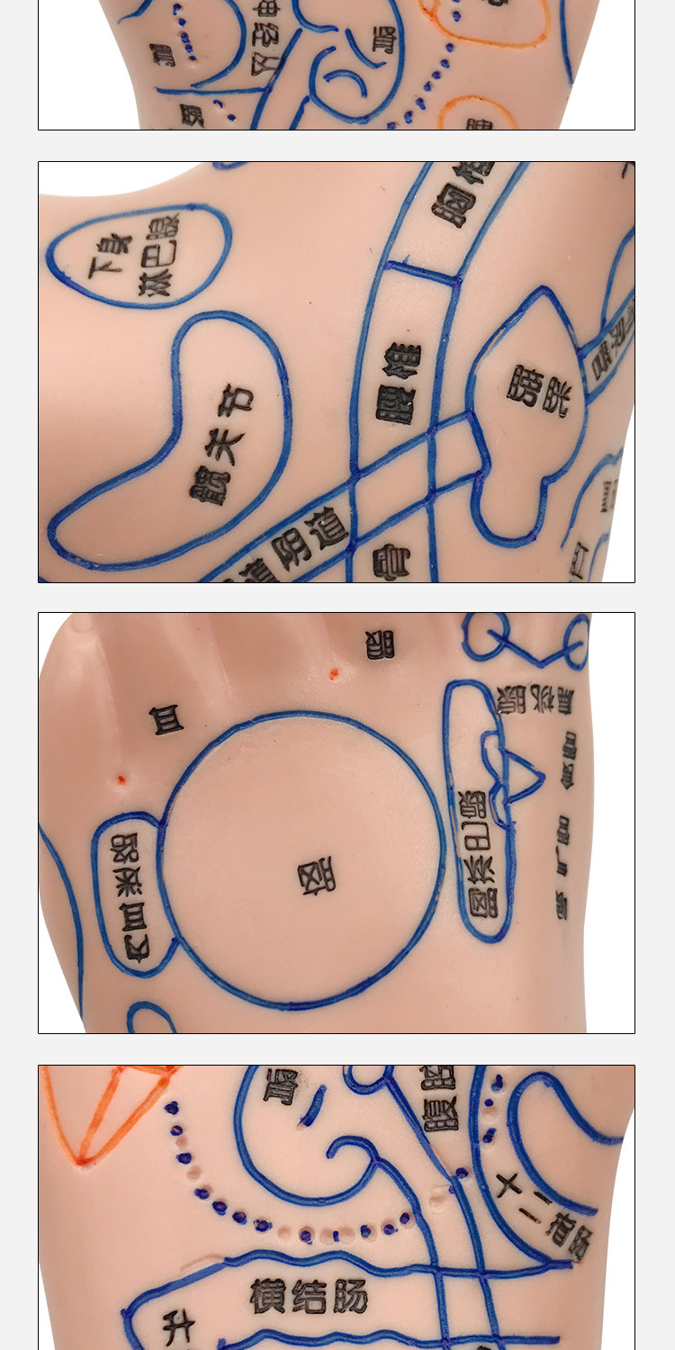 Foot Acupoint Reflexology Model with Clear Markings, Foot Reflex Zone Massager, Acupoint Stick, PVC Foot Model for Home Wellness Routine detail image
