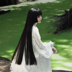 ウィッグ 85cm シャイニーバング プリンセスカット ウィッグ ロングストレートヘア クール感 デイリー フルナチュラル フルヘッドバンドスタイル