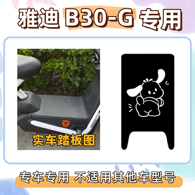 Electric vehicle foot mat: Floor Mats, Wire Loop