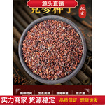 党参种子药材种植种籽种苗正品甘肃岷县特产新特级当归黄芪孑草本