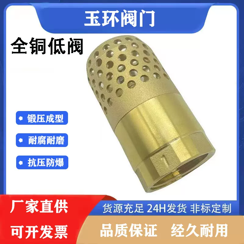 全铜底阀内螺纹井低阀抽水泵吸水进水止回阀水泵低阀20铜质止回阀