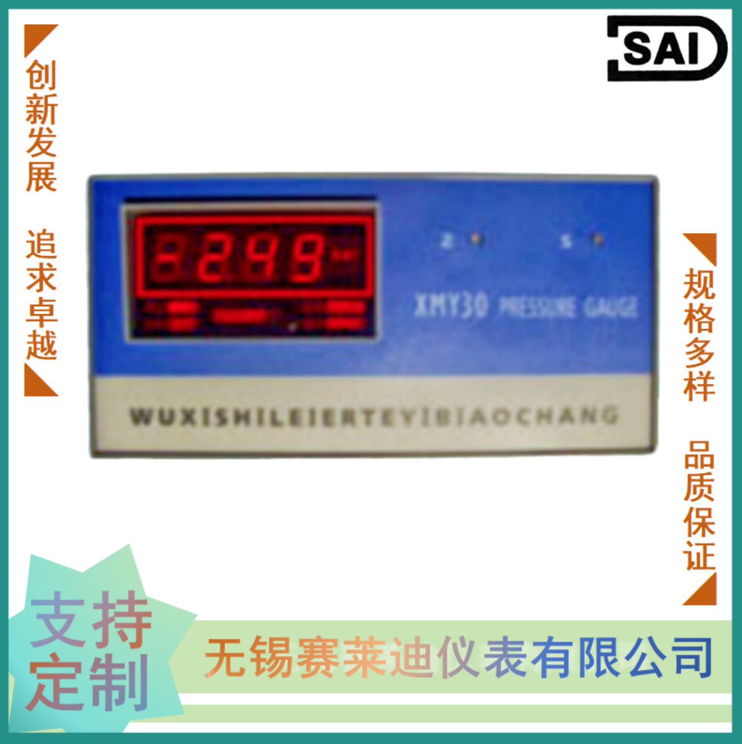 无锡赛莱迪压力数字压力显示仪 XMY-30
