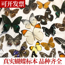 ������˱���չ��������x�˱����l���յ��ߔ[���׃��@�̌W��ȡ��