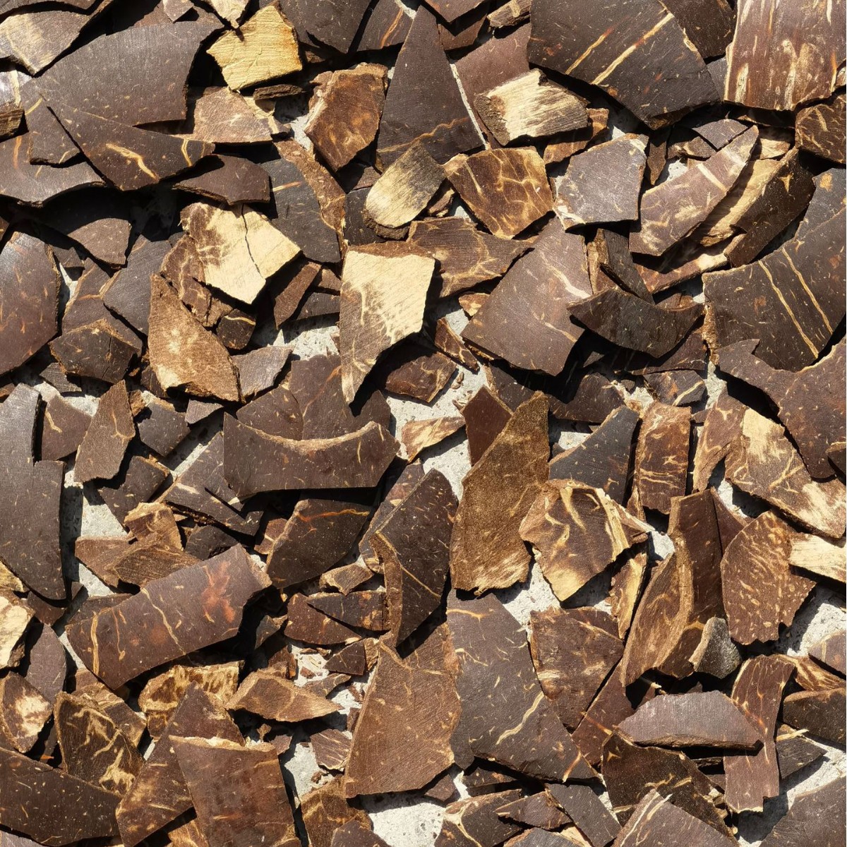 Estilo japonés tazón de coco cáscara de coco viejo cáscara de coco tazón de madera de coco almacenamiento transfronterizo de madera cáscara de coco comercio exterior al por mayor