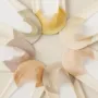浅口新款春夏独立女袜