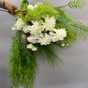 ����ڒ�ܛ�b �Gɫֲ�� ��˹���ٗl ����Ғ�ާ�ֲ�������Ғ�S