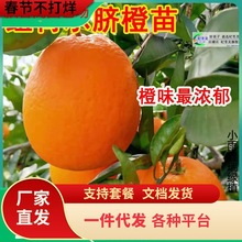 һlĴ~ɠĚļ޽ĚȘӘ