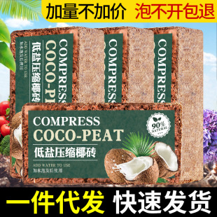 Ҭ�u�Gֲ�����߲ˠI�B�����sҬ��Ҭ�����w�����}ֲ�����ЙC