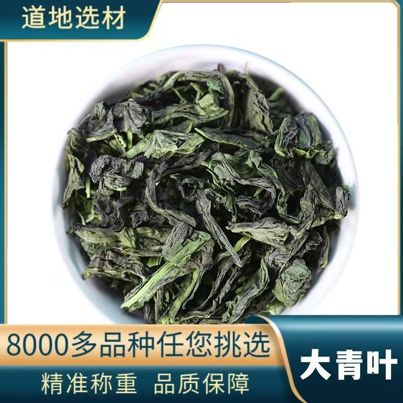 大青叶 中药材 新货 大青叶 板蓝根叶 产地货源 承接订单 代磨粉