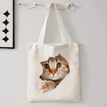 外贸跨境男女节日新年帆布包学生便携收纳手提包购物旅行单肩包