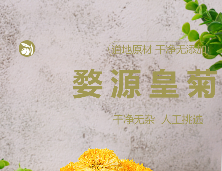 Wuyuan Imperial Chrysanthemum (Chrysanthemum morifolium) — Dried Golden Chrysanthemum Tea, 20g Jar key features