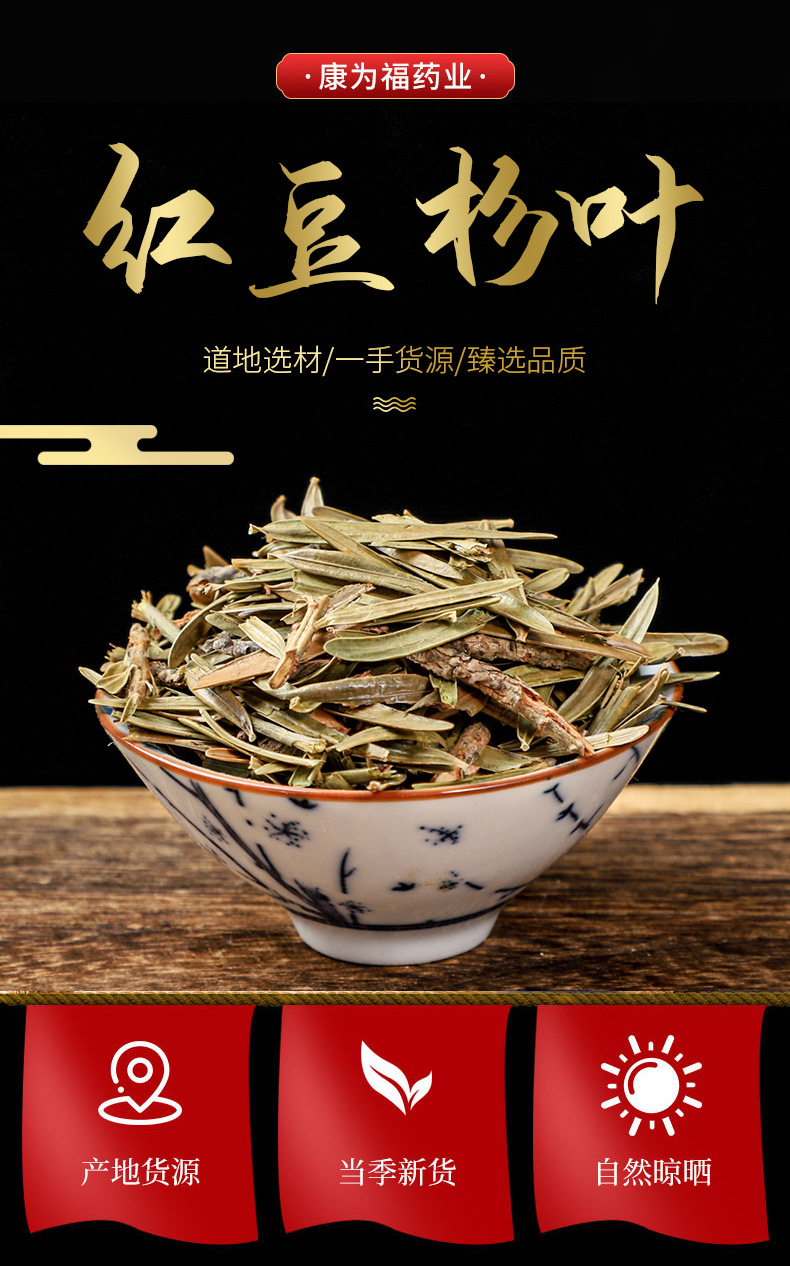 Hong Dou Shan Leaves (Taxus chinensis) — Dried Chinese Yew Leaf Herb, 500g overview