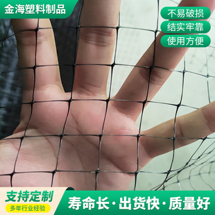 悽��p���������ϾW �۱�ϩ���ϾW ���B�W��¹�W �߲˹��@���B�W