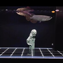 �_�I�{���bYƷ�~���;��^����P������ɰʯ���b[���P����F