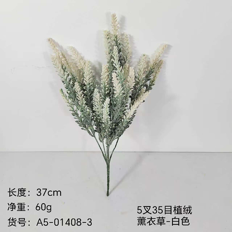 Blanco 5x35mesh plantado lavanda