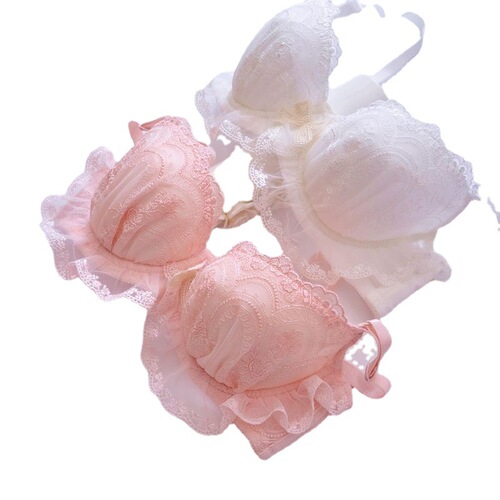 Long-term Japanese embroidered two-color embroidered thin cup student girl cute push-up sexy underwear bra set