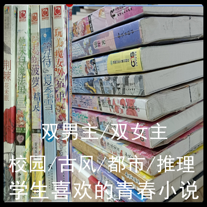 爽文小说双男主双女主言情图书实体小说校园古风都市耽美地摊货源