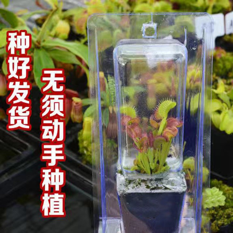 O1CN01Bw0KKa2HtJeTBredC_!!2211