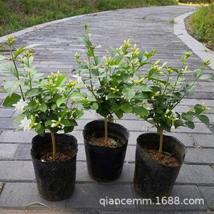 �����͹P�������������҃��̨�͏d�ΰꪚ�U�P�����򻨻��ܾGֲ