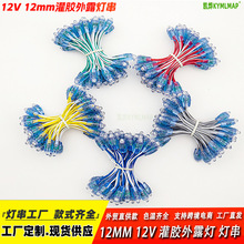 12mm灯串12v户外防水灌胶外露灯5V楼顶广告招牌发光字冲孔灯