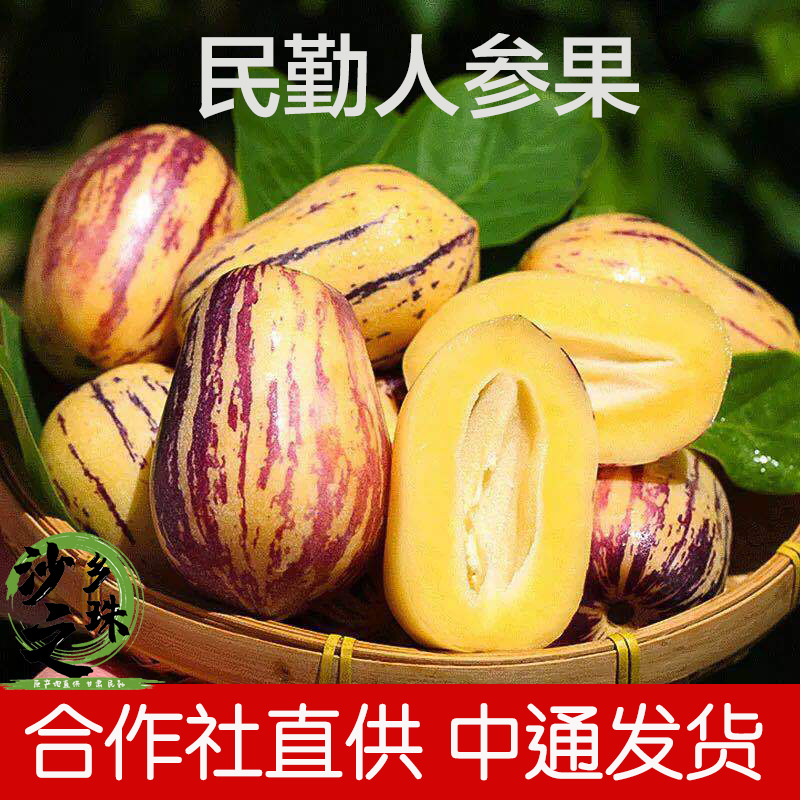 民勤沙漠黄肉人参果现摘新鲜水果圆整箱孕妇低糖包邮甘肃特产代发|ru