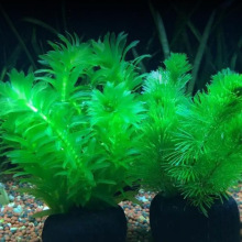 Gˮ_m~ˮoɰŷB~쾰ˮGֲ