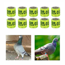 跨境2024年鸽子脚环信鸽足环 鸽环 鸽子环七彩火车头