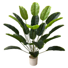 ����Gֲ���˽� ������������� �҃��辰�Ҿ��b[��