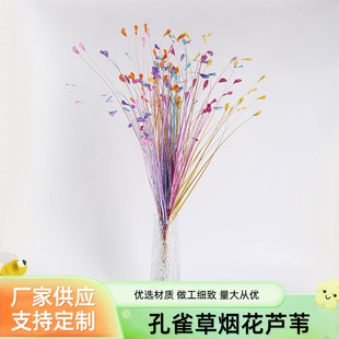 ����24�^��ȸ�ݟ����JȔ��c�bٻ���c�zӰ���߷���Gֲ�[��