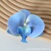 3D film blue No. 2 (small)