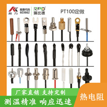 ǘ˶PT100KPT1000Kpt100ضȂRTDSOEM