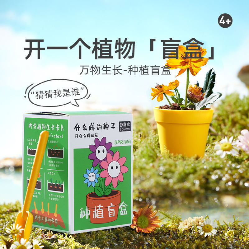 Plant blind box children's kindergarten student small pot green plant blind box set plant growth observation box toy