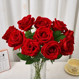 �羳����q��õ�廨 ���˹���Y�ҾӸ߼��мٻ������ָнq��õ��
