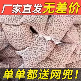 鱼缸;水族过滤设备;其它水族用品