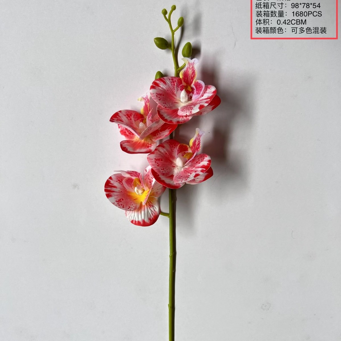 붉은 가장자리 반점