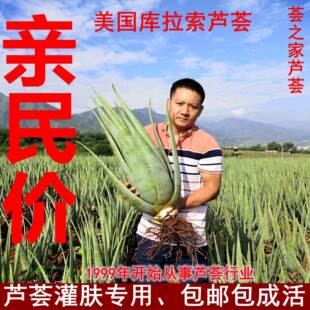 �����������J�C¶��Nֲ�J�CС��Gֲ�����J�C�����辰ș��ʳ��