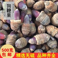 狗鞭果广西野生风流果猪仔粒男人泡酒料中药材干货毛毛大果锁阳果