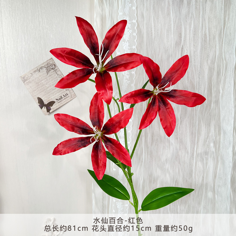 Yg-narcissus lily-red