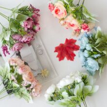 10�^���m��� ���滨�ٻ��軨��c�ҾӔzӰ���̈��������[���b�