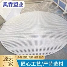 PP过滤板塑料带冲孔网工厂矿山设备防护罩板高分子圆孔蜂窝板筛网