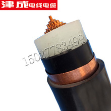 �������|NH-VV22 5о �~о�z�b�^����|�o���~����늾���|