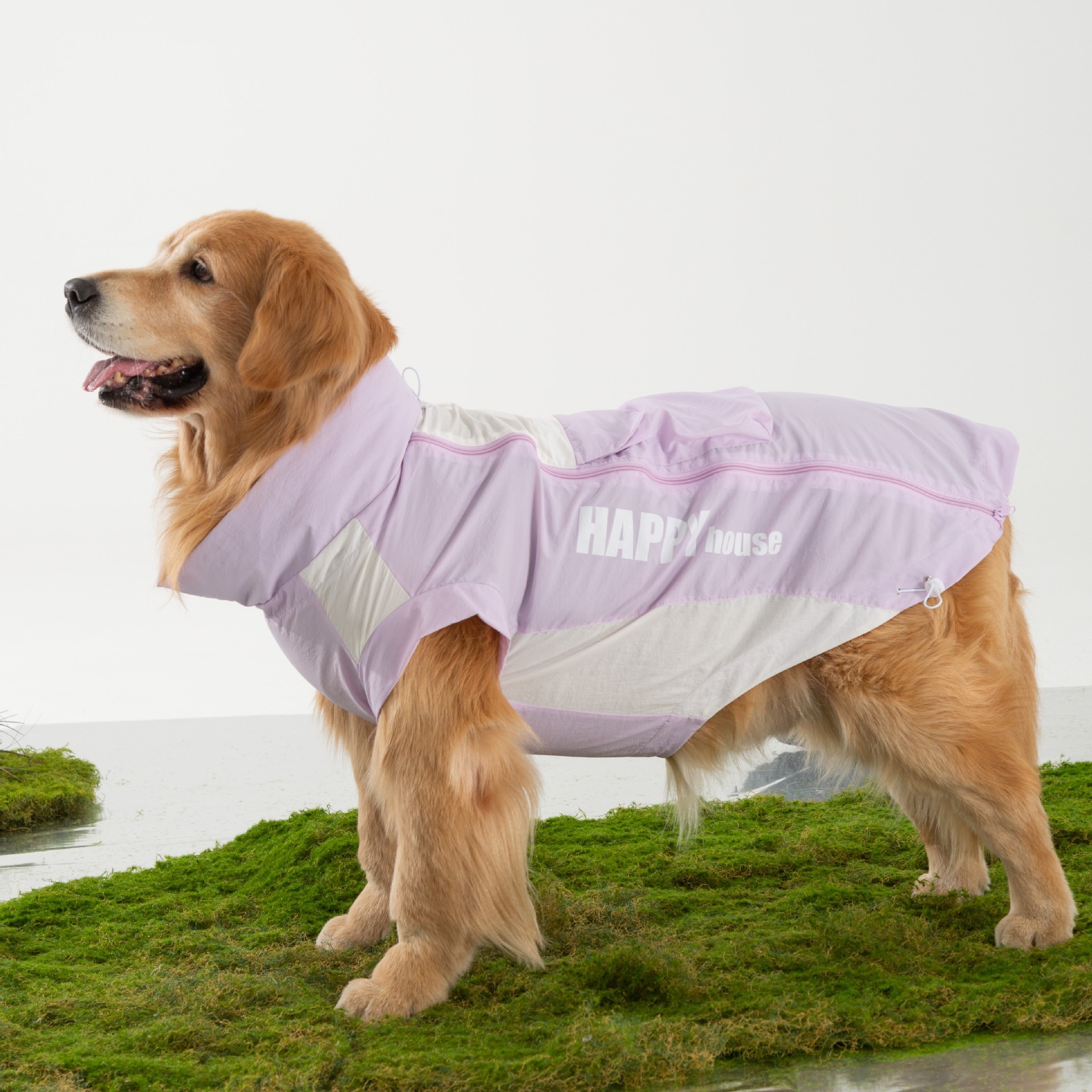 Impermeable para perros grandes, de verano, diseño simple, protección contra la lluvia para viajes al aire libre, ropa para perros Labrador.