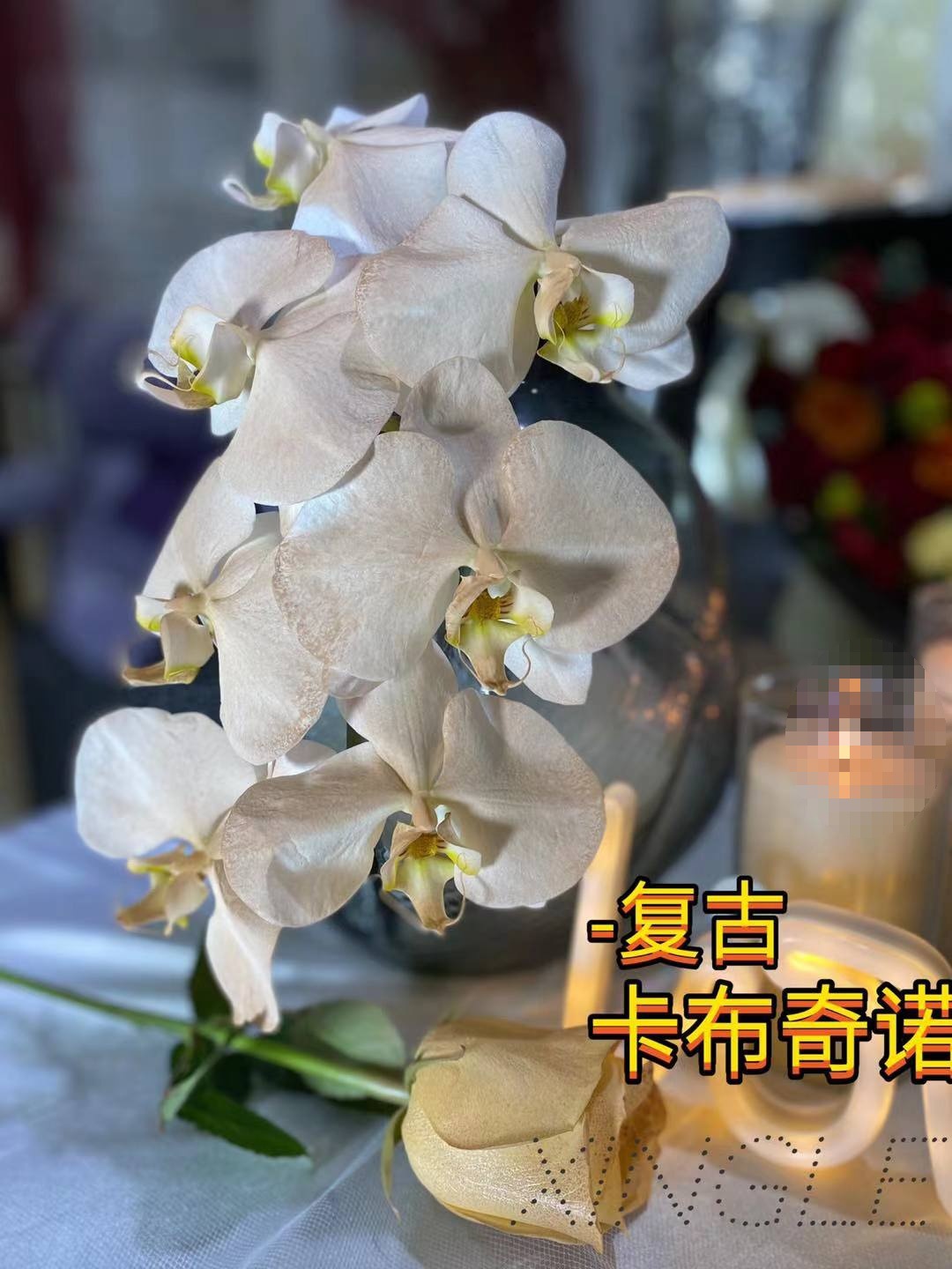 카푸치노(레트로 스타일)